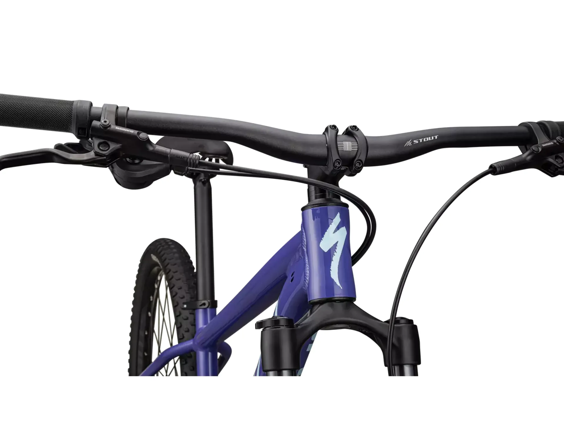 Specialized purple mountain bike shop
