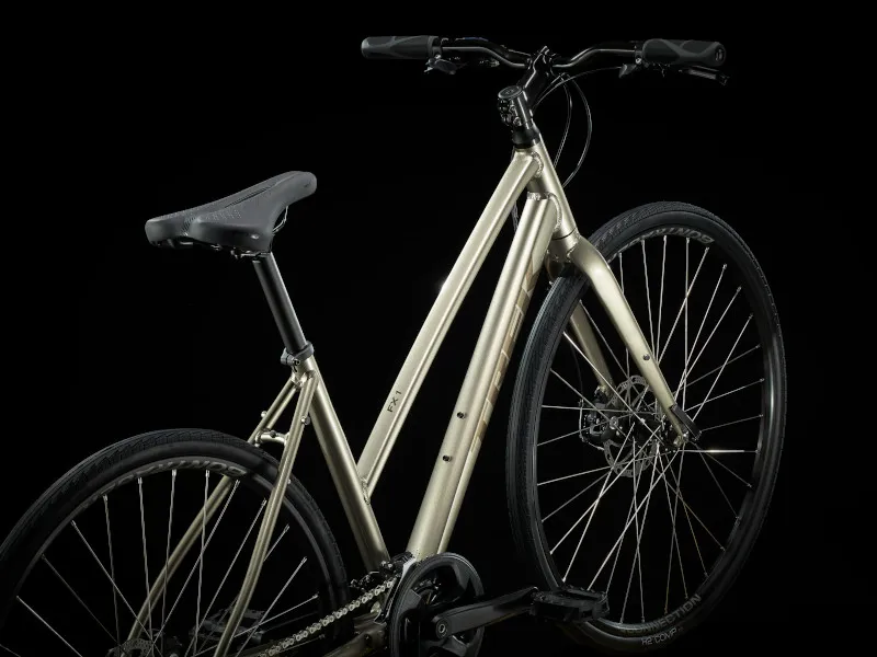 Trek FX 1 Disc Stagger Womens Hybrid Bike 2023 Gunmetal