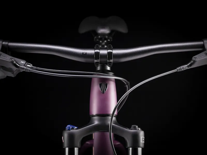 Trek Roscoe 6 WSD Hardtail MTB 2020 Mulberry Rose Gold